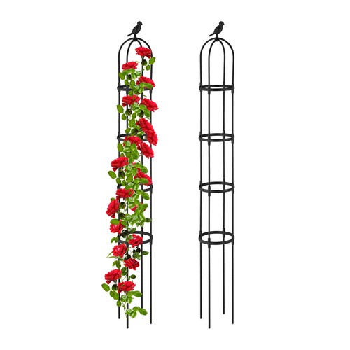 Support vertical plantes