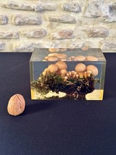 PIERRE GIRAUDON   INCLUSION