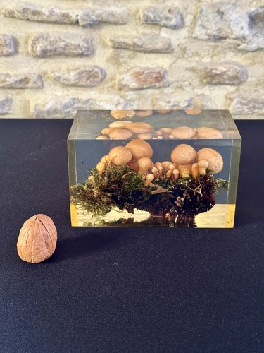 Pierre giraudon inclusion - ,