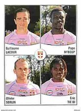 Stickers Panini France Foot