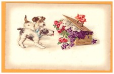 CHAT & CHIEN / JEU de