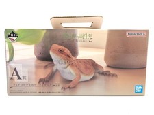 Figurine dragon barbu Ichiban