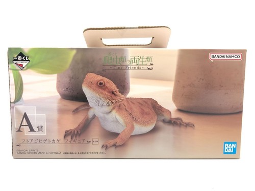 Figurine dragon barbu ichiban - barbu,