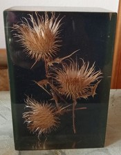 Ancienne Inclusion Résine