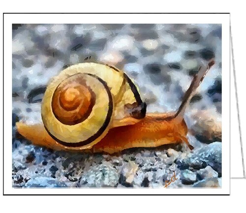 Marine snail set - marine,