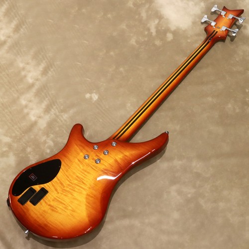 Vigier arpege v4ecc - arpege, amber