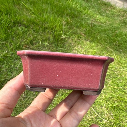 Poterie bonsaï pot - bonsaï, carré