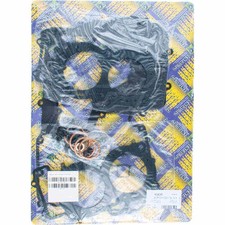 APRILIA 1000 RSV4 / TUONO V4 -