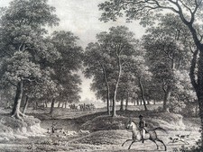 Gravure XIX Chasse Au Cerf