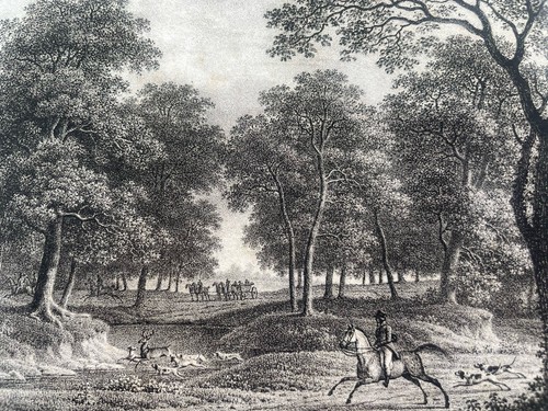 Gravure xix chasse - gravure,