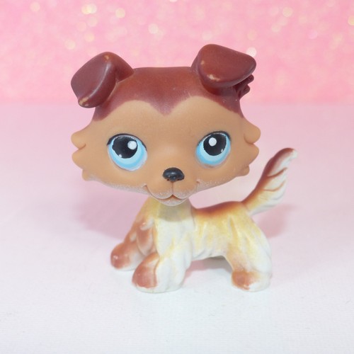 Authentic lps littlest - lps, petshop