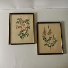 Lot De 2 Planches Botanique