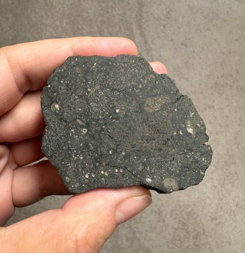 Meteorite chondrite nwa 13483 - meteorite,