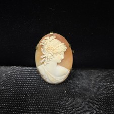 Ancien Camée Sur Coquillage