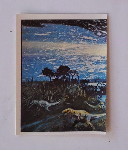 Panini animaux - panini,