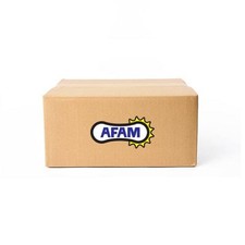 Pignon 11613-43 AFAM