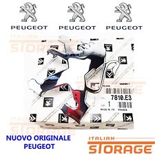 Peugeot 406 Orrnement Logo