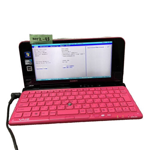 Sony vaio series type - sony, p