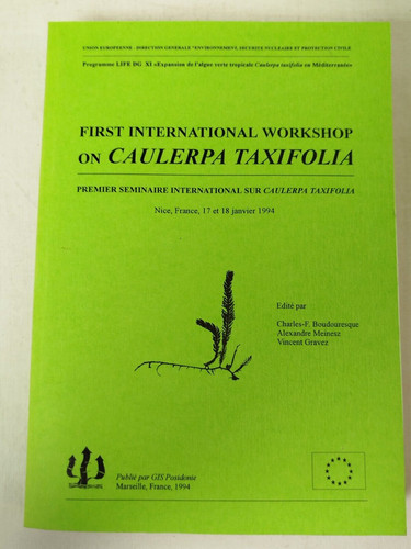 First international workshop - international,
