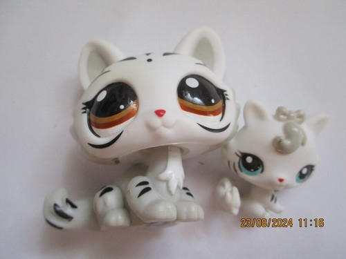 Petshop duo maman chat - :,