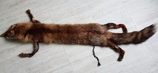  ETOLE FOURRURE RENARD ROUX