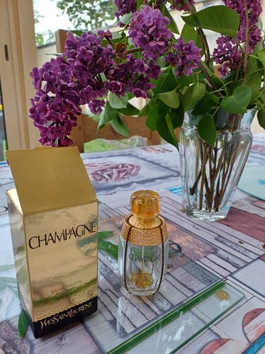 Bouteille parfum vide - bouteille,
