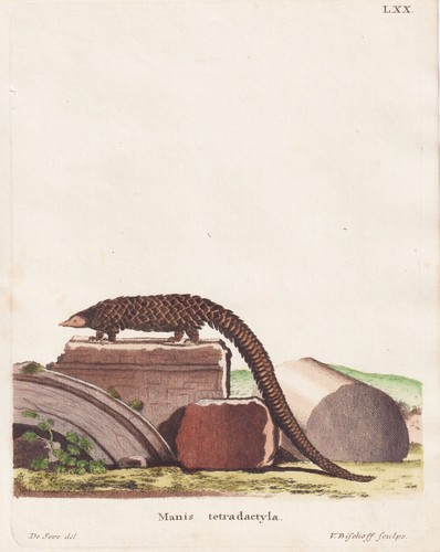 Pangolin langqueue - pangolin,