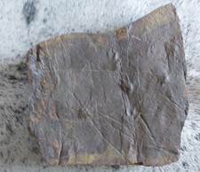 5.05Kg. Contre Empreintes D