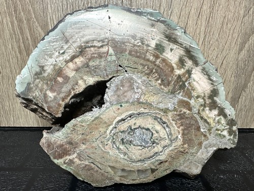 Lithophyse xxl demi géode - lithophyse,