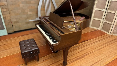 Steinway grand piano model - steinway,