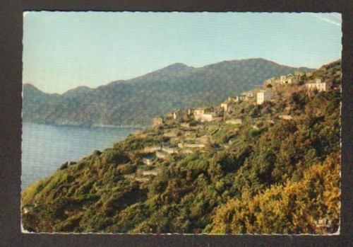 Canari marinca - canari, (corse)