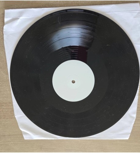 The animals test pressing - the,