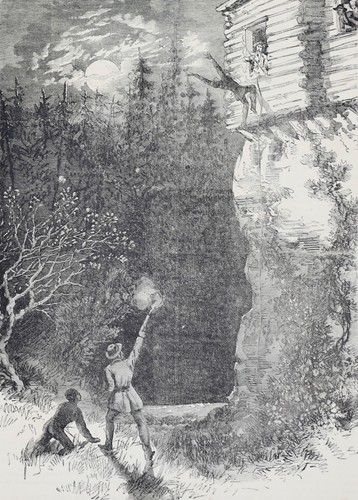 Frank leslie 1876 - frank,