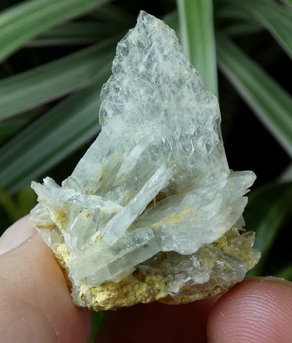 Baryte bleue mas soyons - le, mas,