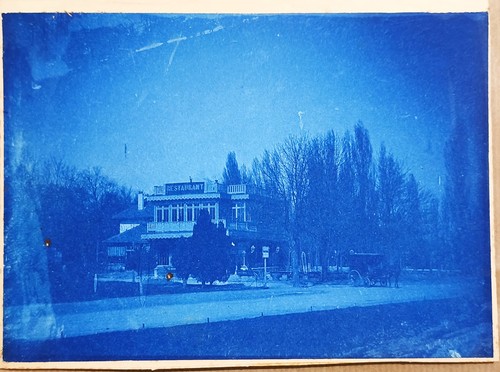 Cyanotype original le - original,