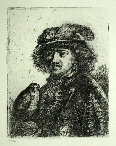 Rembrandt faucon - au,