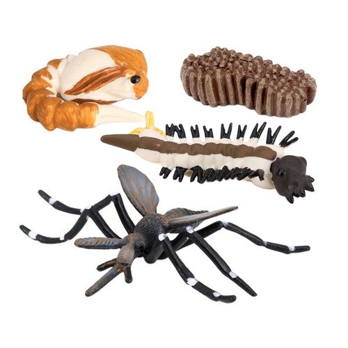 Enfants cycle croissance - cycle,