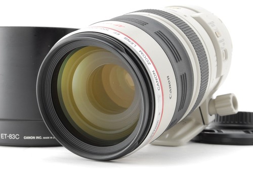 Mint food canon - [mint, w/food]canon