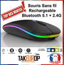 Souris Sans Fil Rechargeable Bluetooth 2.4G Ultra-Mince Silencieuse 4 Boutons