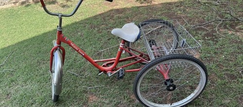 Miami sun adult tricycle - sun,