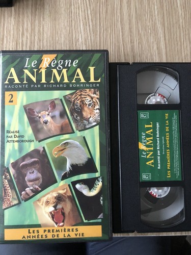 Cassette vidéo vhs - vidÉo, rÈgne