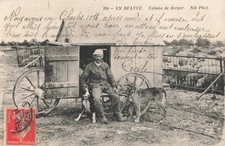 CPA EN BEAUCE EURE ET LOIRE LOIRE ET CHER LOIRET YVELINES CABANE DE BERGER