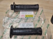 PGO P1542000000 + P1541000000