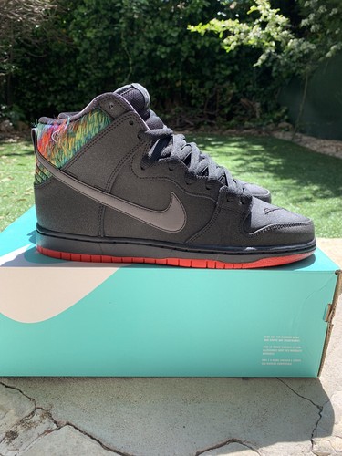 Nike dunk gasparilla sean - sb,