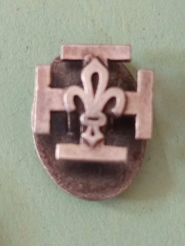 Insigne boutonnière scout - insigne,