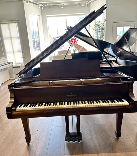 Steinway grand piano 7 - m,