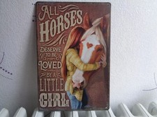 TOLE METAL CHEVAL PIN UP 20 X