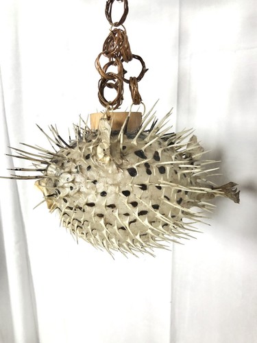 Poisson globe suspendre - a,