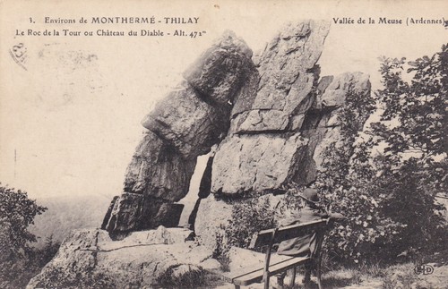 Carte postale monthermé - 🦬,