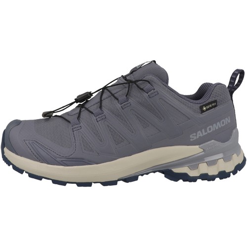 Salomon pro v9 gtx - 3d,